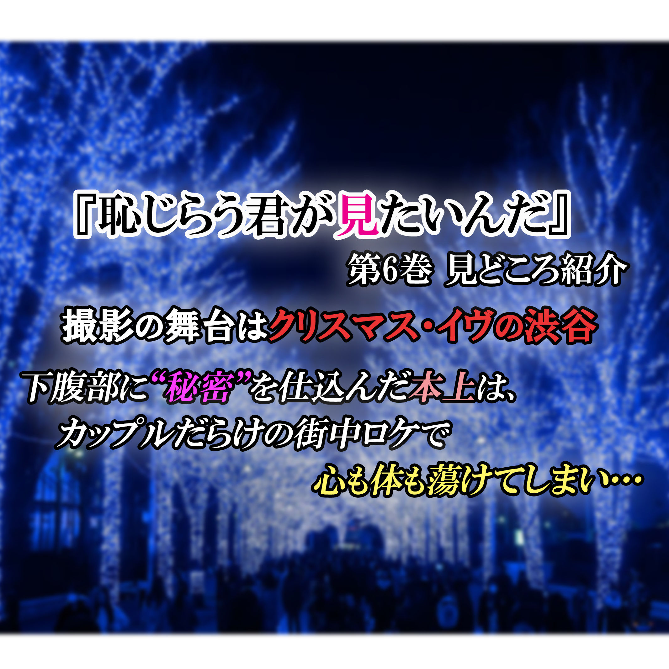 恥じらう君が見たいんだ 第6巻 見どころ紹介】クリスマスデート